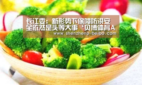 长江委:新形势下保障防洪安全依然是头等大事‘贝博体育App下载’(图1) 贝博体育App下载